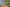 Recipe: Fresh Fruit & Bimble