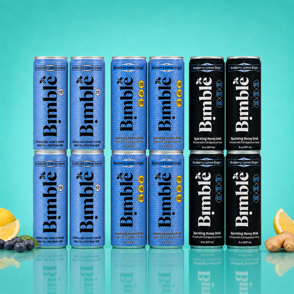Blueberry Lemon Ginger Summer Solstice Sampler - 12pk